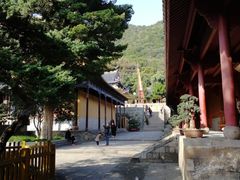 -普陀山风景名胜区-法雨禅寺