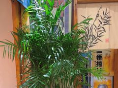 -福匠日本料理(人民路店)