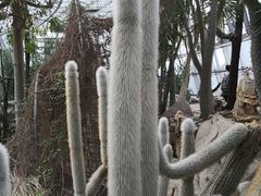 -北京植物园-展览温室