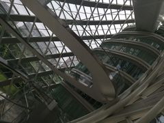 -凤凰中心
