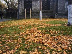 -春风习习