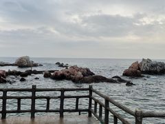-养马岛旅游度假区
