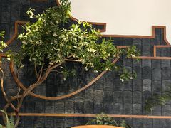 -陈三娃泡姜鸡
