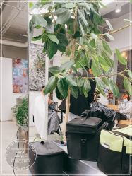 -Hair  Gallery
