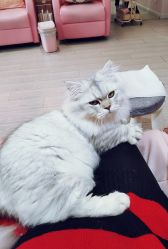 -Beauty Nails 美甲美睫皮肤管理