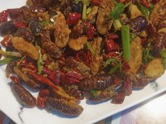 -吧嘚嘴炭烧鸽串吧(北海街店)