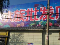-山东柏宁水族批发广场
