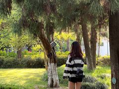 -南通博物苑-崇川人民公园