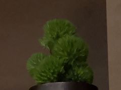 -海立阁海鲜江浙菜(漕河泾印象城店)