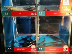 -鱼酷活鱼烤鱼(人信汇商场店)