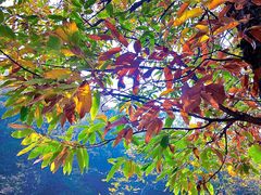 -天津盘山风景名胜区