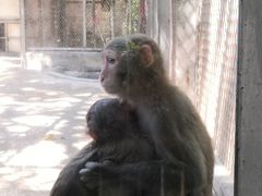 -广东茂名森林公园