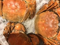 大闸蟹-马哥孛罗咖啡厅·Cafe Marco (厦门马哥孛罗东方大酒店)