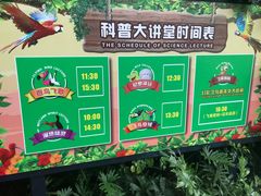 -广州长隆飞鸟乐园