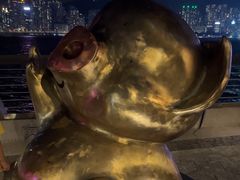 -星光大道