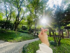 -徐家汇源景区-衡山公园