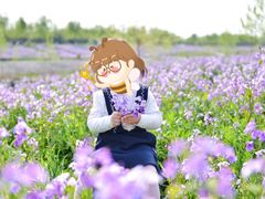 -洨河生态公园