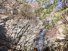 -王顺山国家森林公园