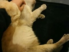 -吱咖啡西式简餐