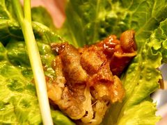 -本家韩国烤肉(财富大厦店)