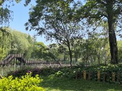 -长兴太湖图影湿地文化园