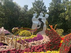 -上海共青森林公园