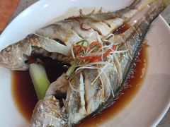 -四海蒸鲜蒸汽海鲜自助(北戴河店)