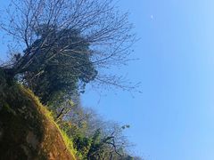 -重庆平顶山公园
