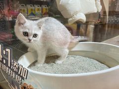 -宠物世家(仲盛世界商城店)