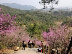 -天台山赤城山景区