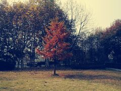 -白塘生态植物园