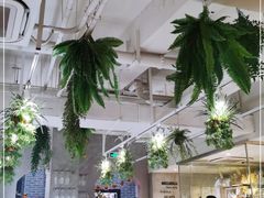 -ALLORA意大利餐厅(丰盛里店)