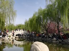 -西安青龙寺遗址景区