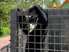 -水上乐园·欢乐世界