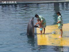 -秦皇岛乐岛海洋王国