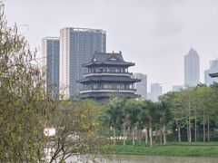 -海珠湖公园