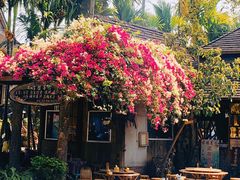 -西双版纳傣族园