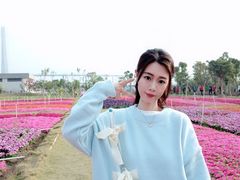 -芒洲湿地公园