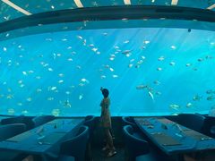 -瑞德姆美人鱼海底演艺主题餐厅(亚龙湾店)