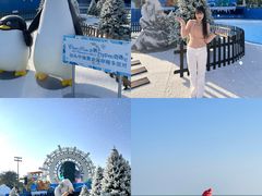 -汕头中海黄金海岸水上乐园