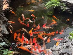 -广州白天鹅宾馆