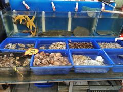 水产区-A8小馆·海鲜烧烤(樱珠苑小区店)
