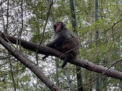 -旺山·浪头人家