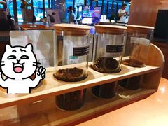 -sugarman espresso素饮糖人高新咖啡工厂