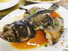 -明记海鲜大排档(巽寮湾店)