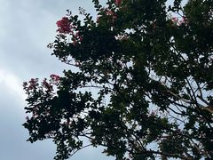 -成都杜甫草堂博物馆