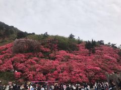 -木兰云雾山