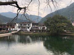 -鹿亭中村
