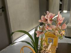 -施奈儿.洗头頭療.按摩SPA.采耳(上梅林店)