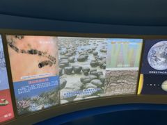 -上海昆虫博物馆